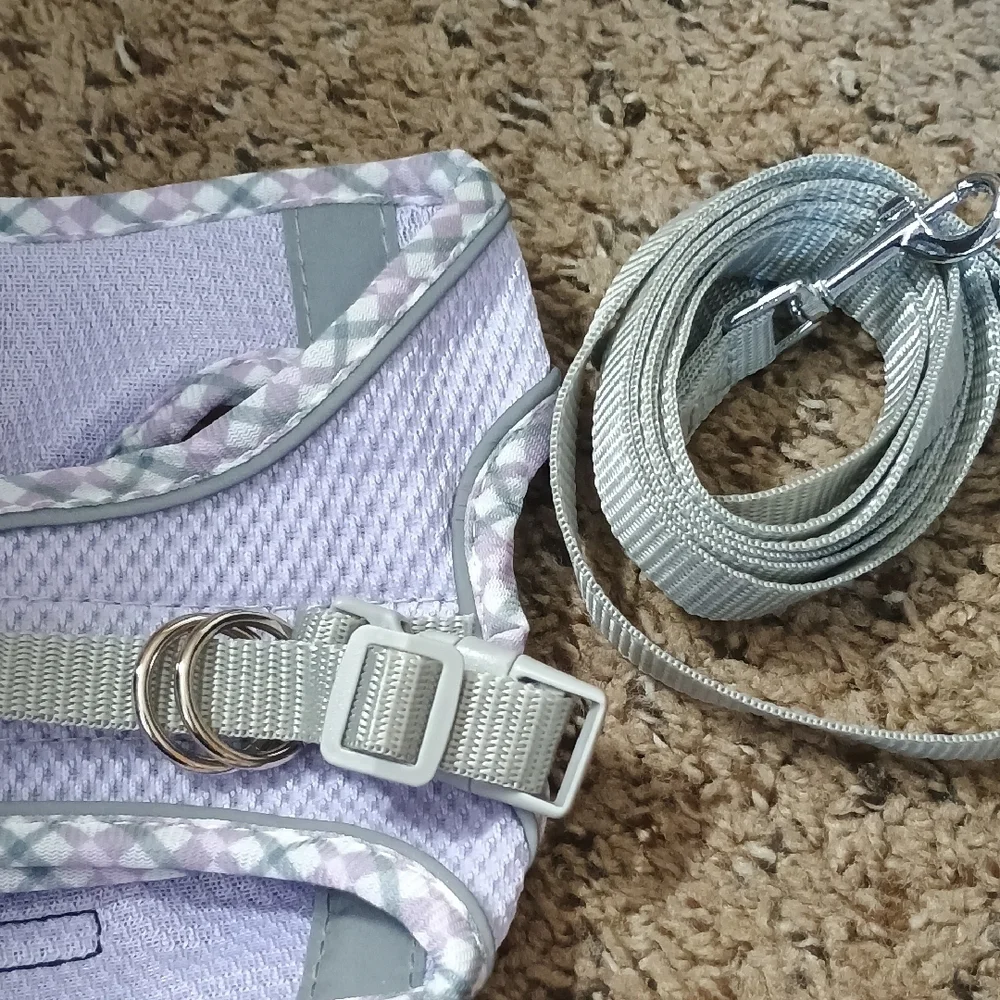 Purple Small Pet Harness